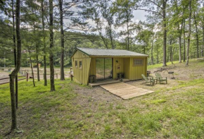 Rustic Cabin with Ponies and 50 Acres by Raystown Lake